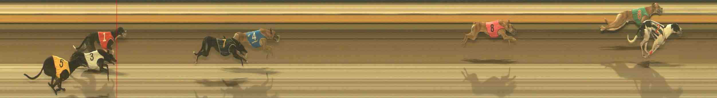 Race result finish photo